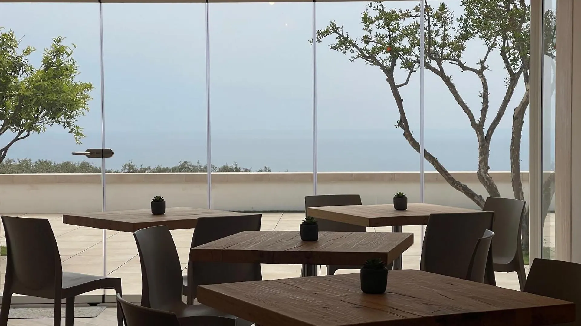 Daedalium Bed & Breakfast Marina di Palma Italy