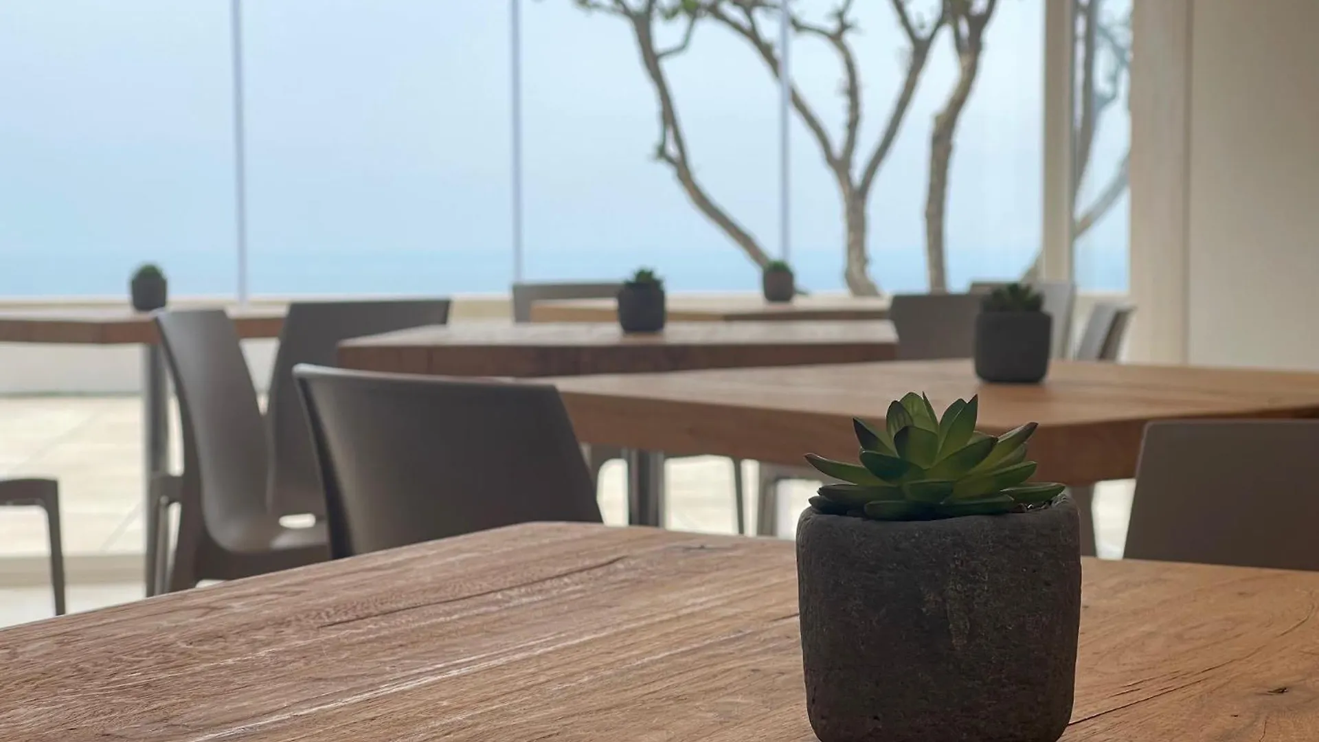 Daedalium Bed & Breakfast Marina di Palma